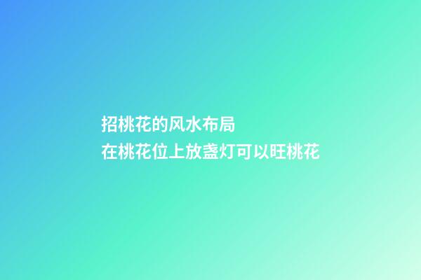 招桃花的风水布局     在桃花位上放盏灯可以旺桃花